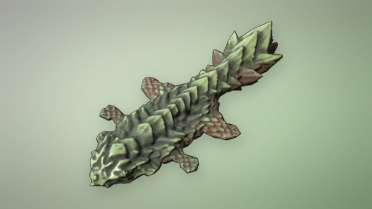 Reptile Hide