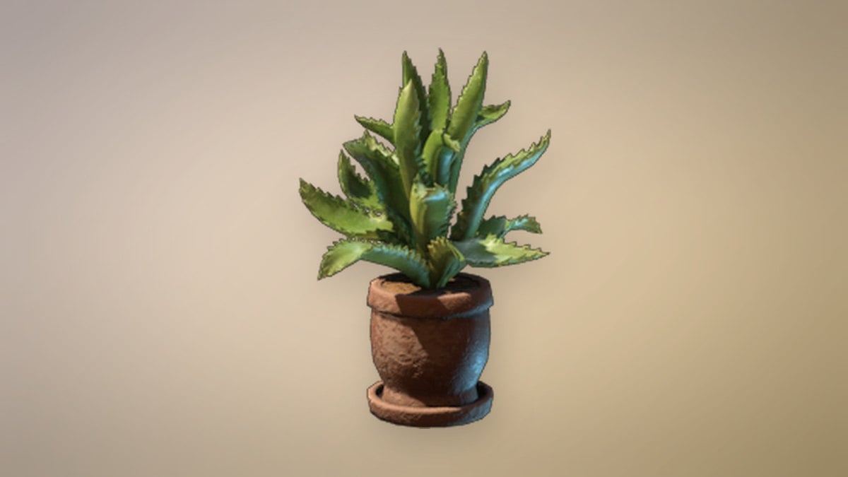 A potted Aloe Plant in Enshrouded