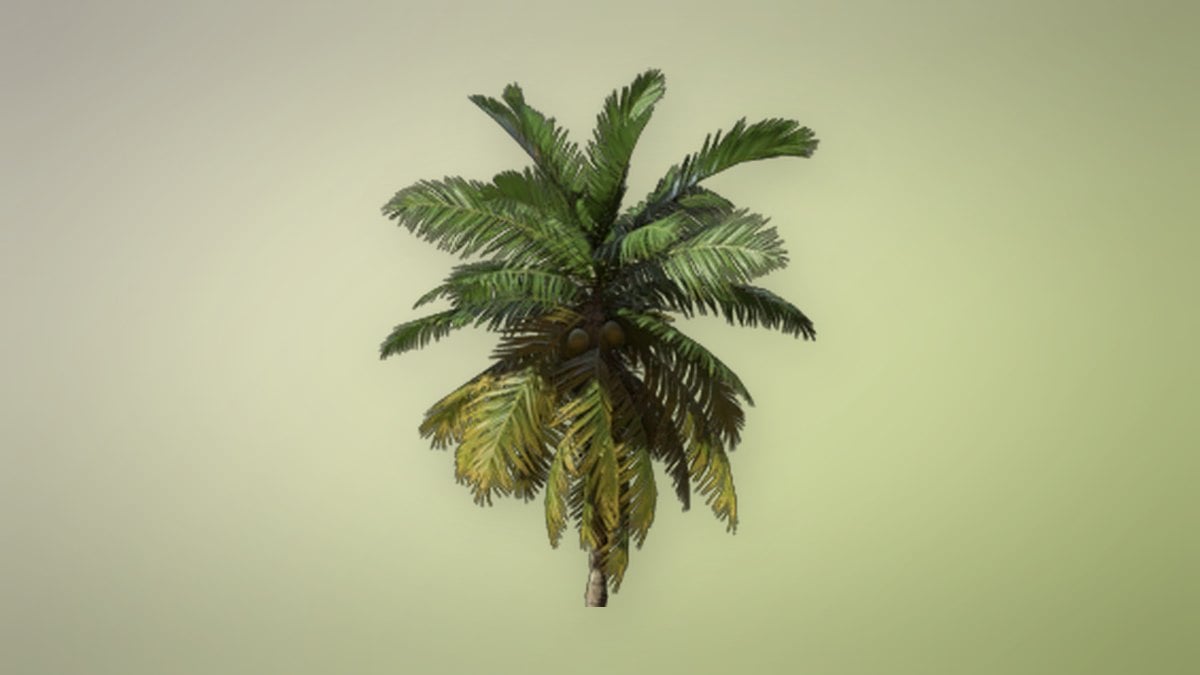 Coconut Palm Seedling in Enshrouded