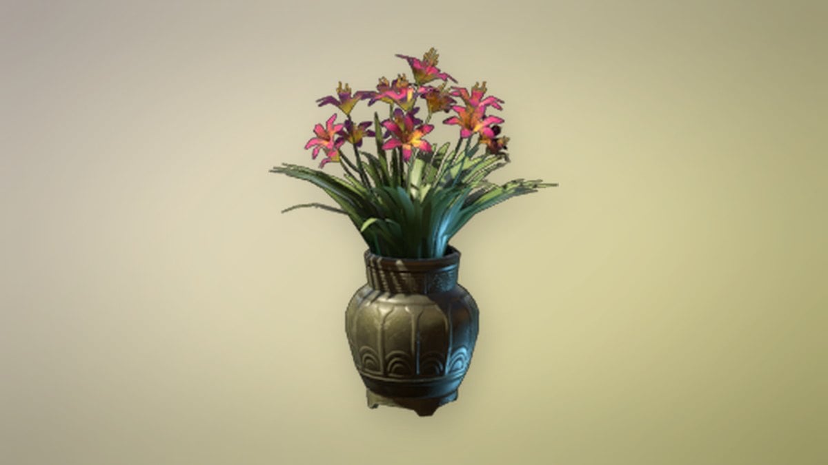 Two-colored Lily Flower