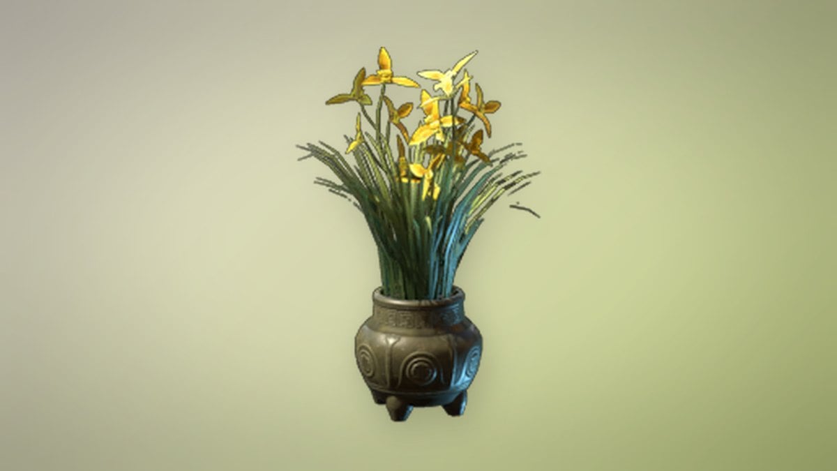 Yellow Cymbidum Flower
