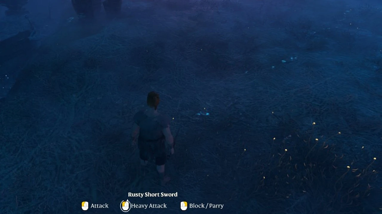 Character seen from behind on dim blue grassland at night with weapon controls listed at the bottom of the screen.