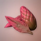Bloomheart Fruit