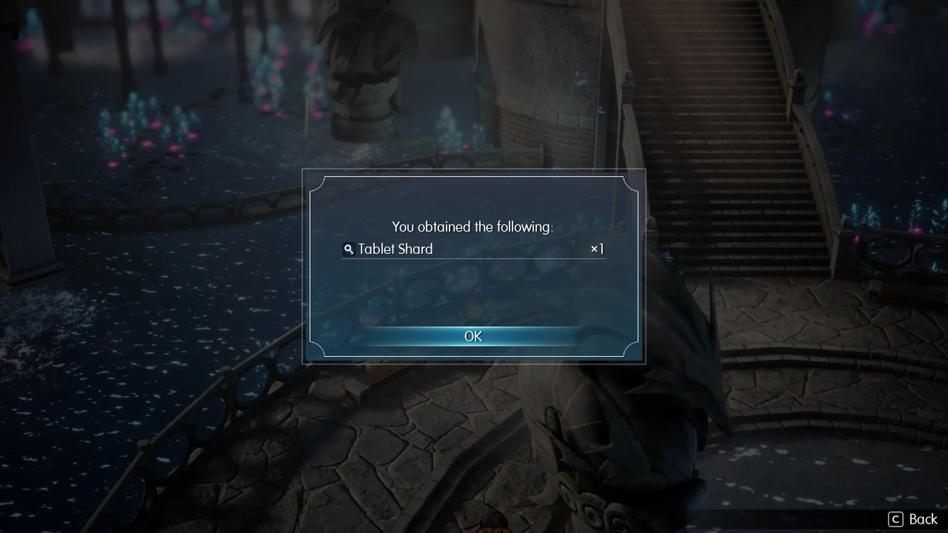 You obtained the following: Tablet Shard x1 in the Olderion central plaza
