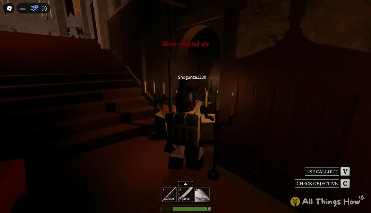 Dark castle interior with the counter Silver collected 1/11 shown on screen