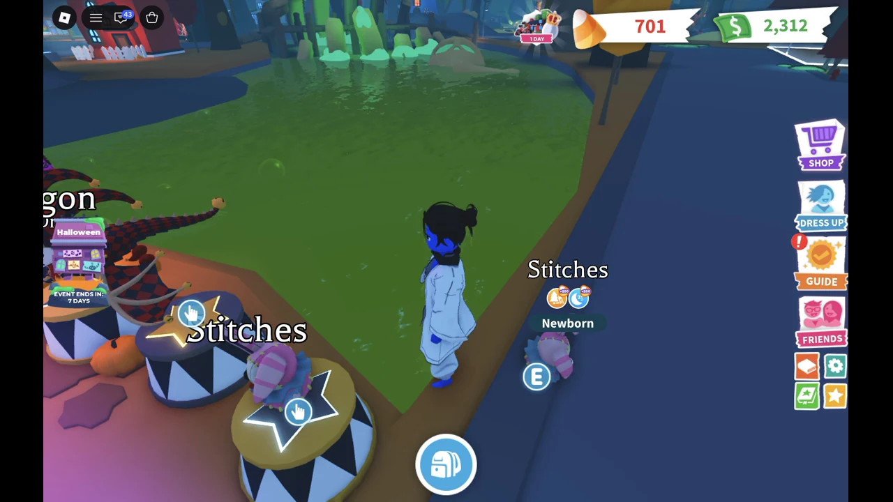 Newborn Stitches standing next to the avatar with its name tag and an E prompt