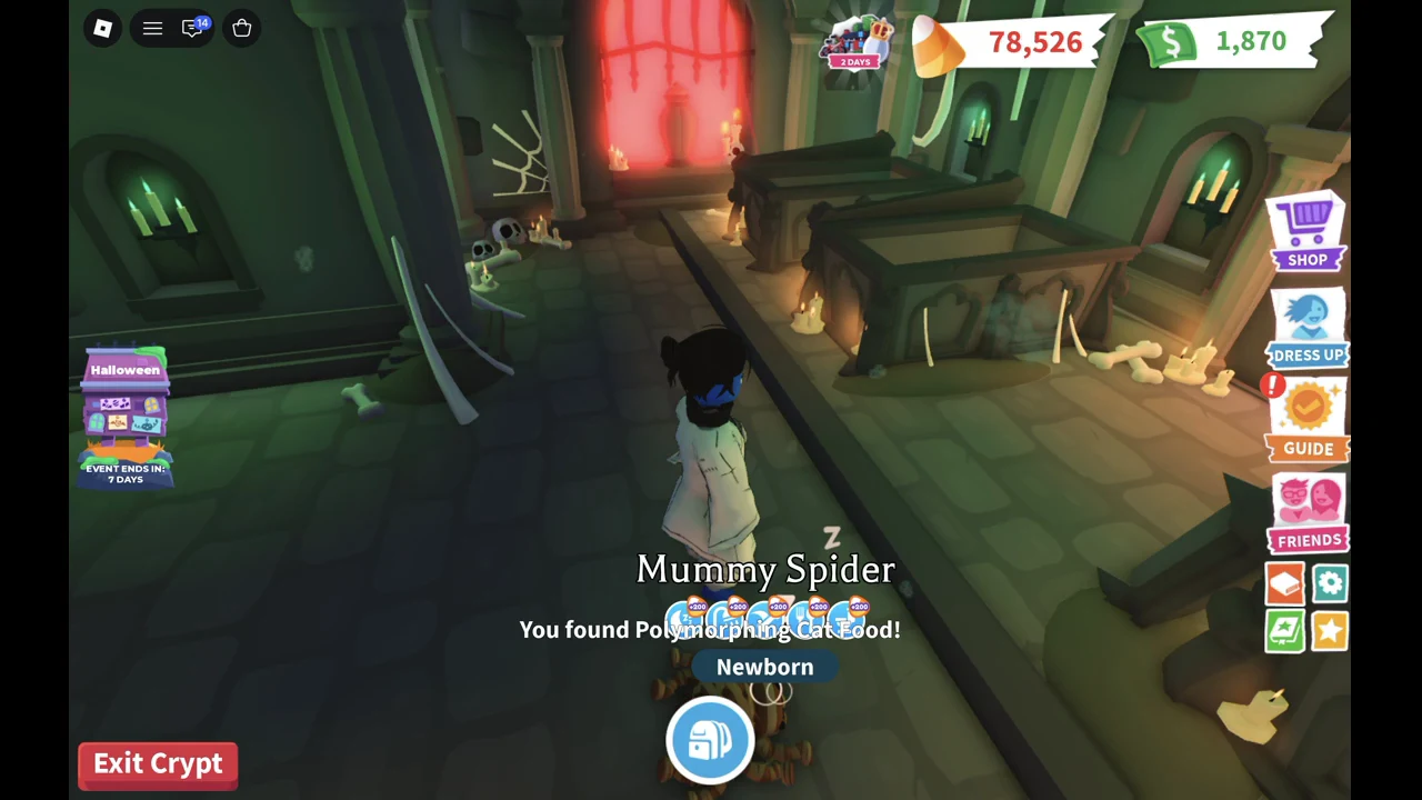 Adopt Me Crypt Lower Level I hall with a red window behind the coffins and the message You found Polymorphing Cat Food!