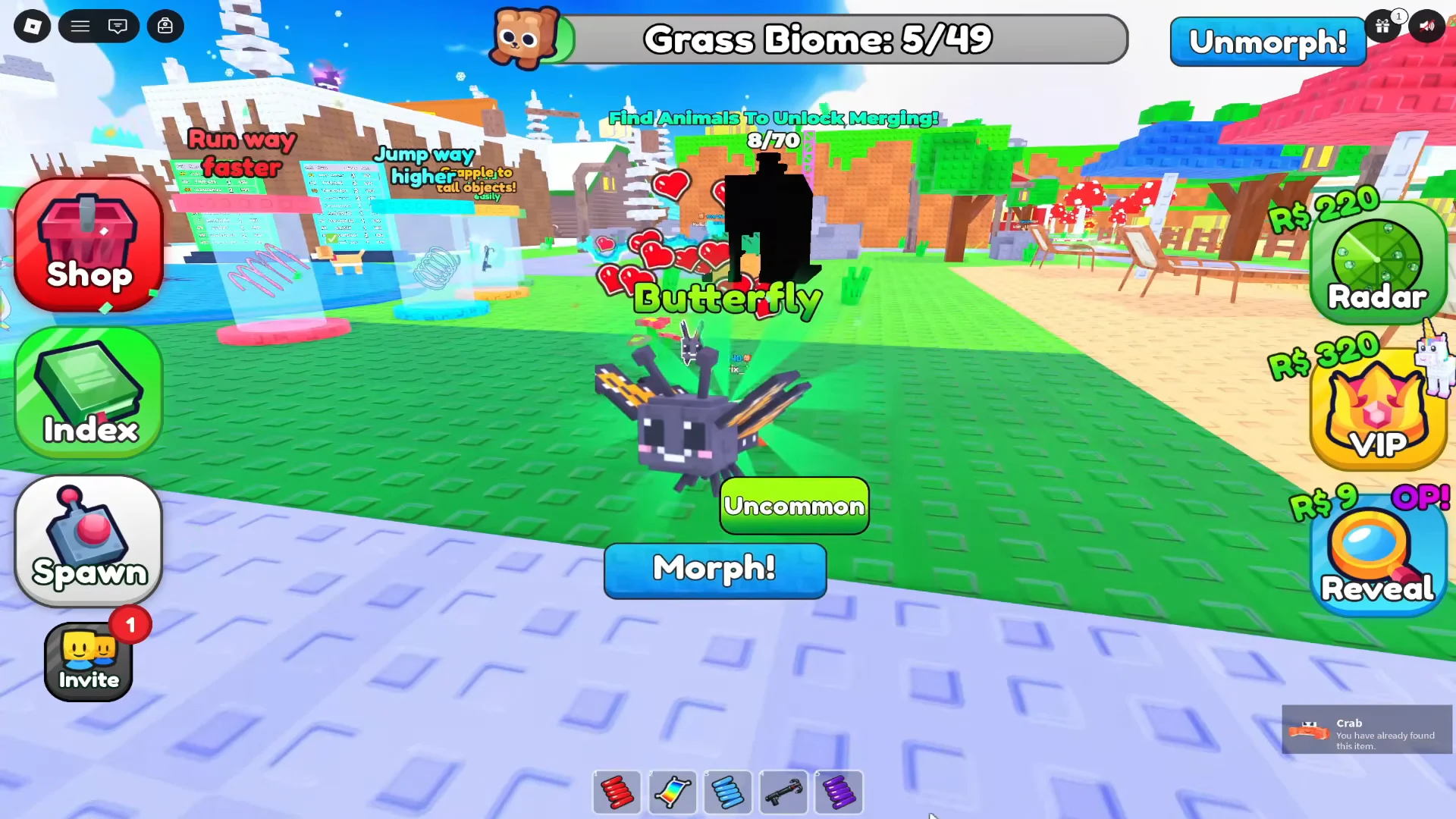 Exploring Grass Biome