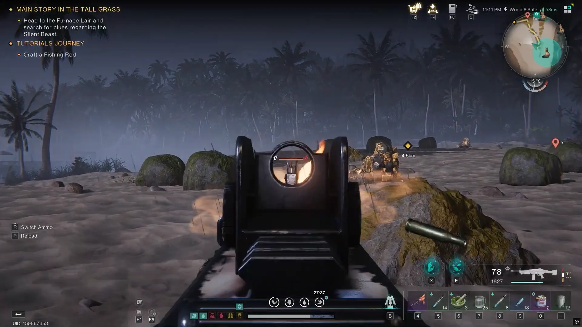 Hunting Rabbits on the Beach
