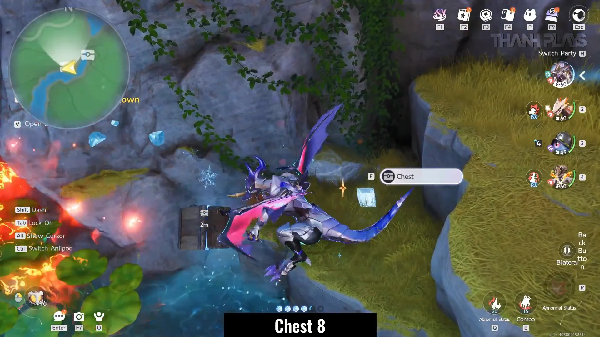 Chest 8