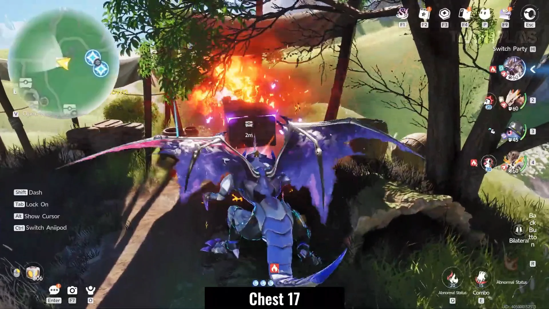 Chest 17