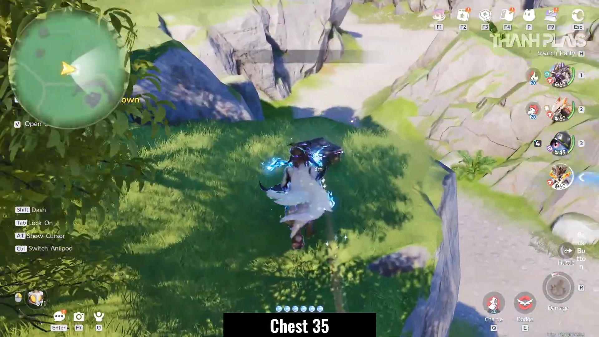 Chest 35