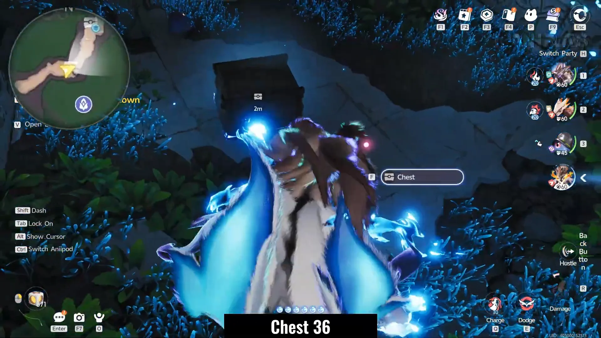 Chest 36