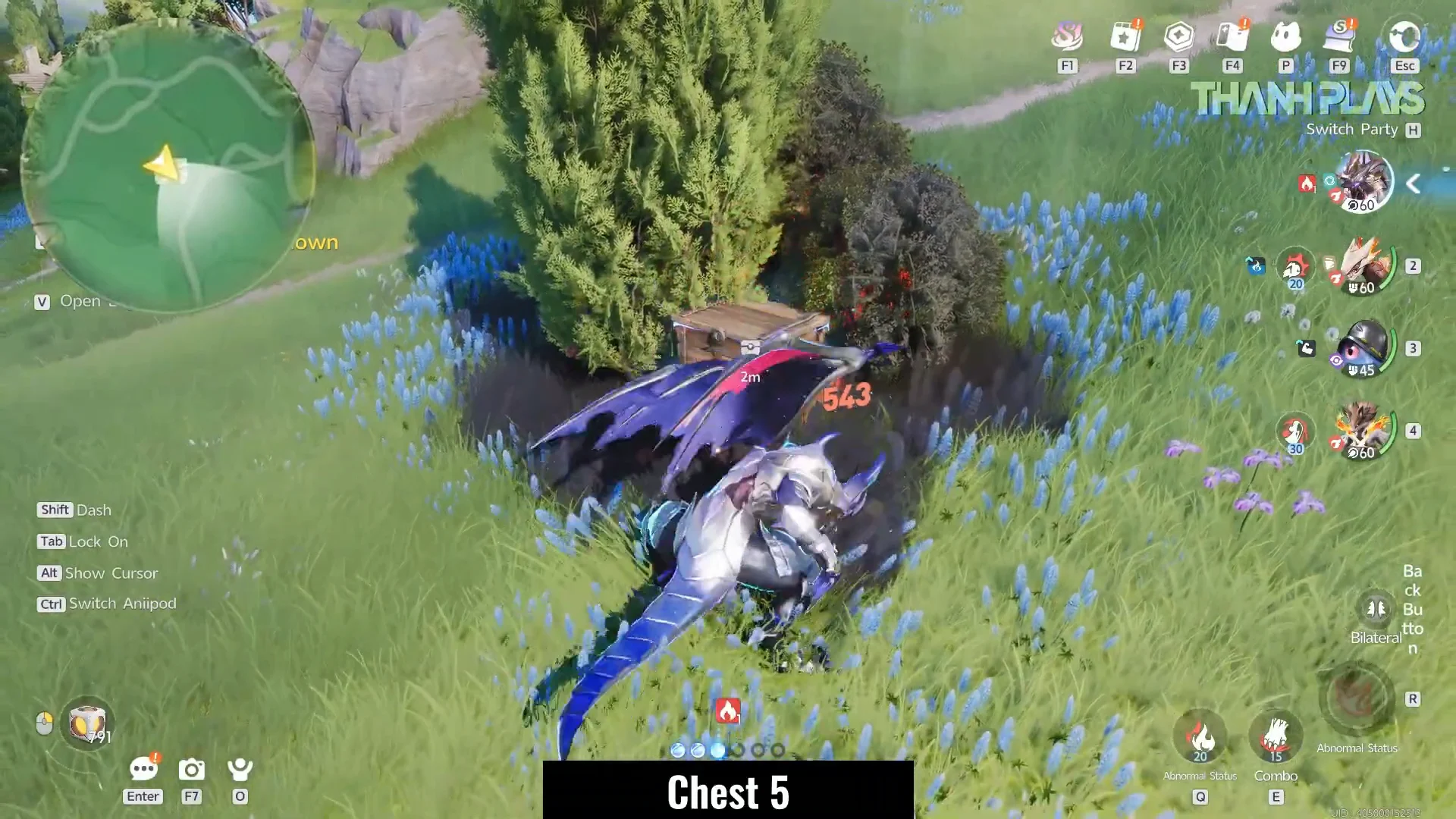 Chest 5
