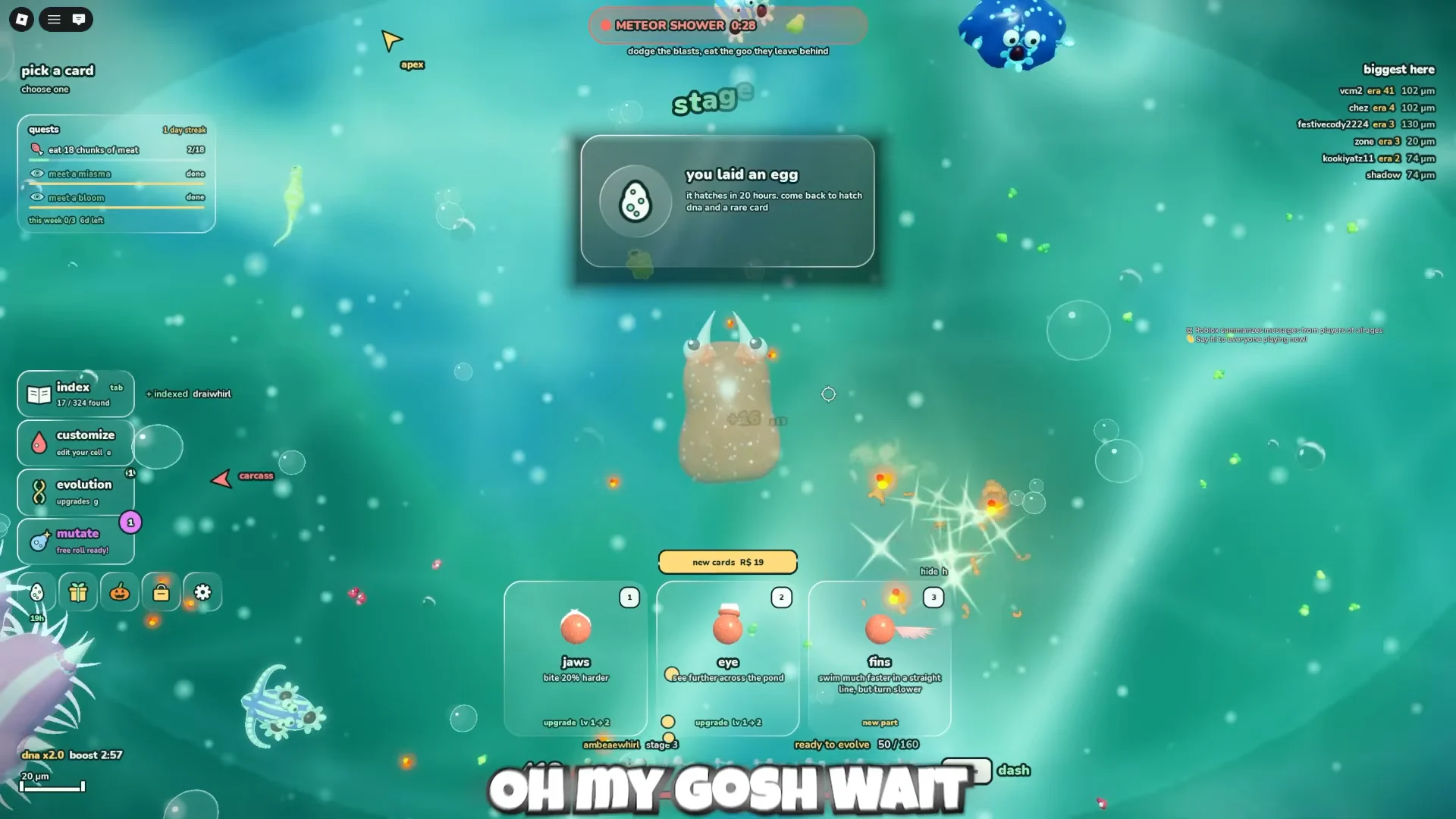 Stage Progression and Card Selection