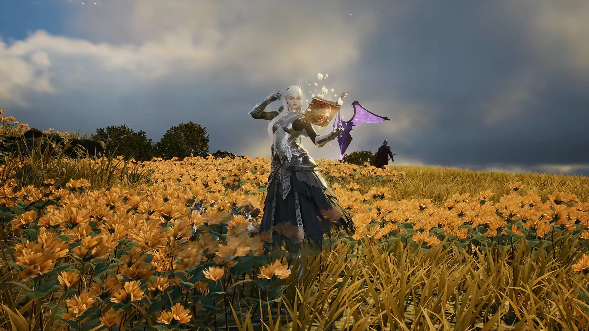 Sorcerer Class Breakdown