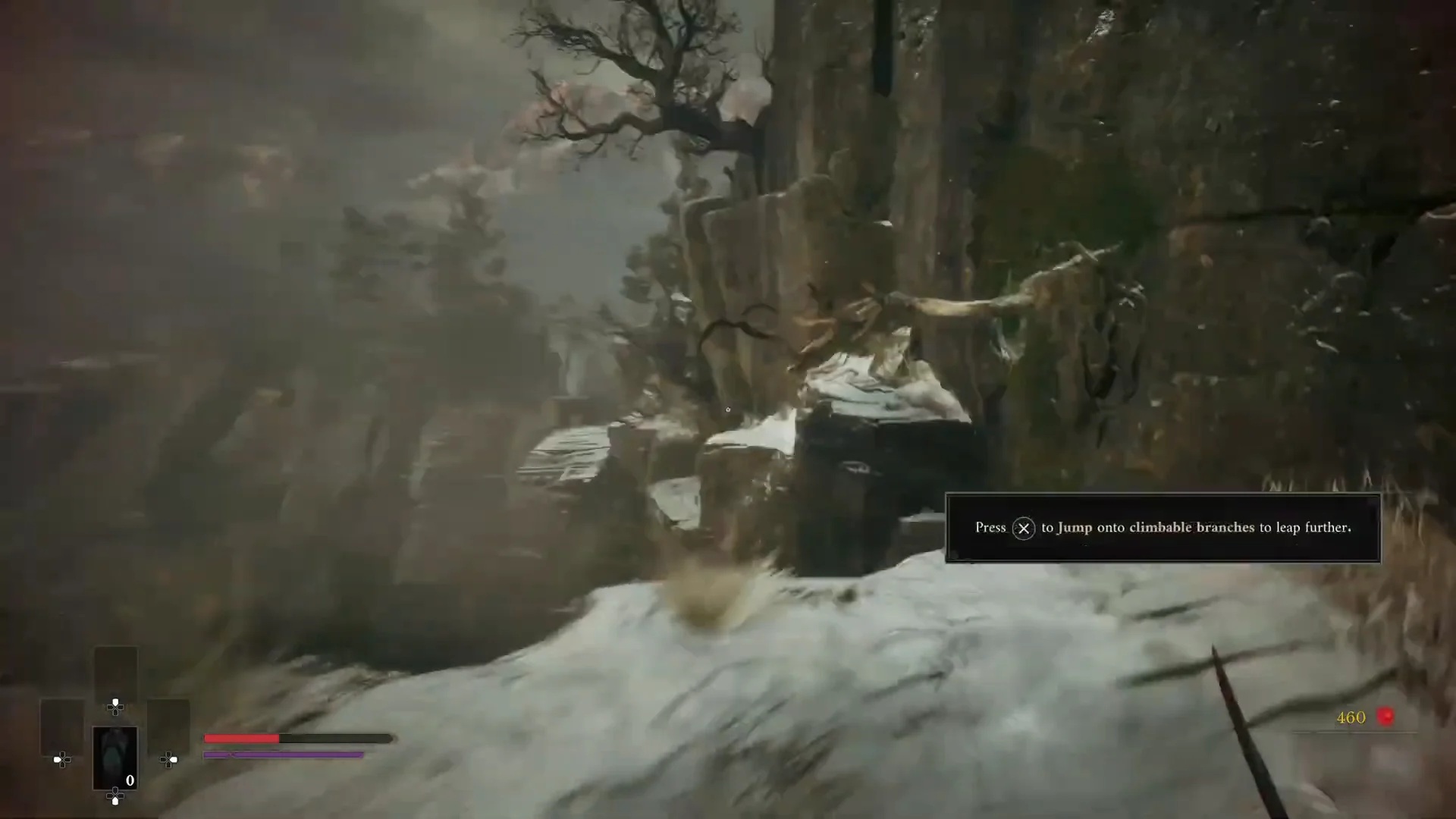 Navigating Cliffside Branches