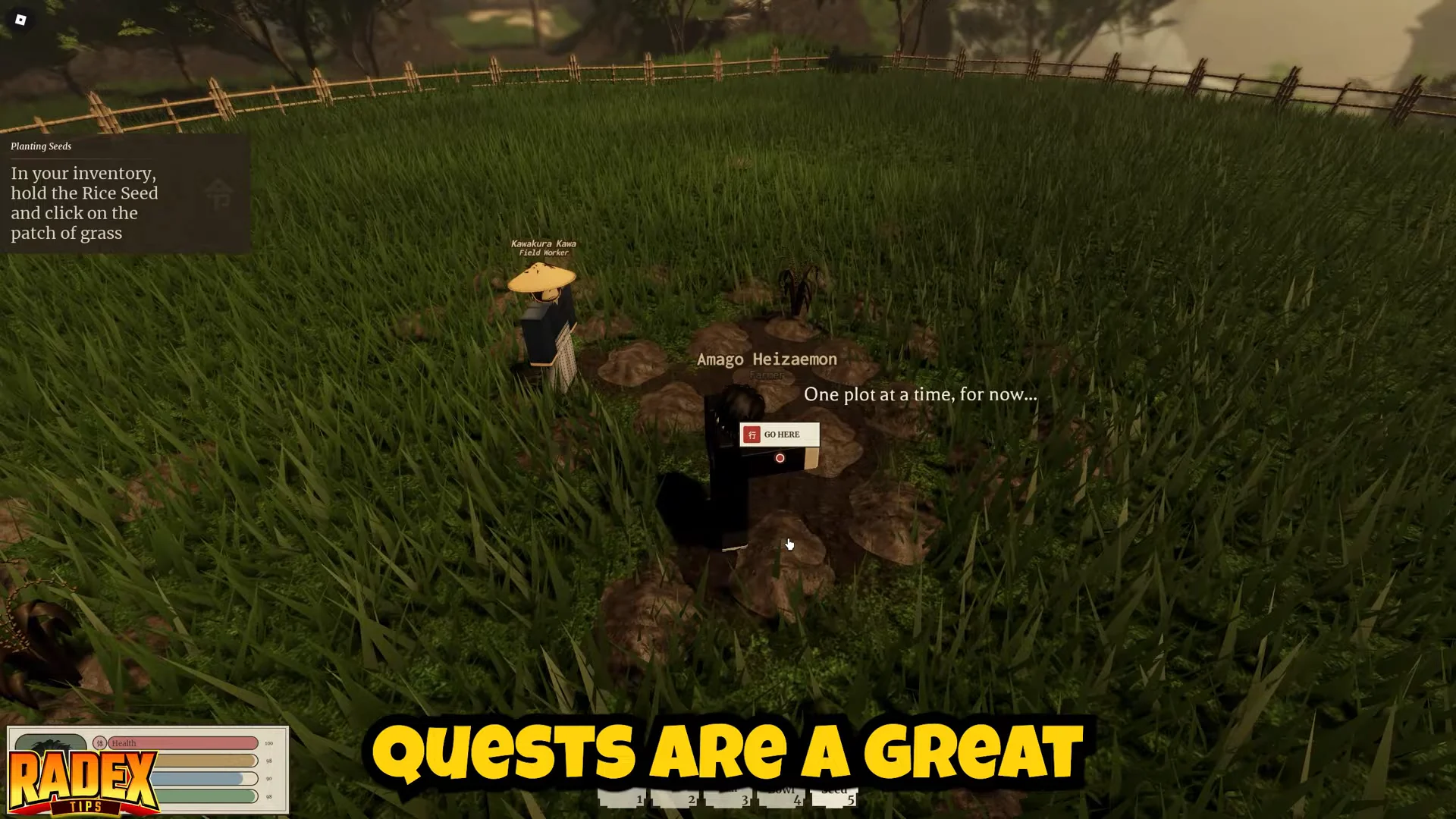 First Farming Task & Quests