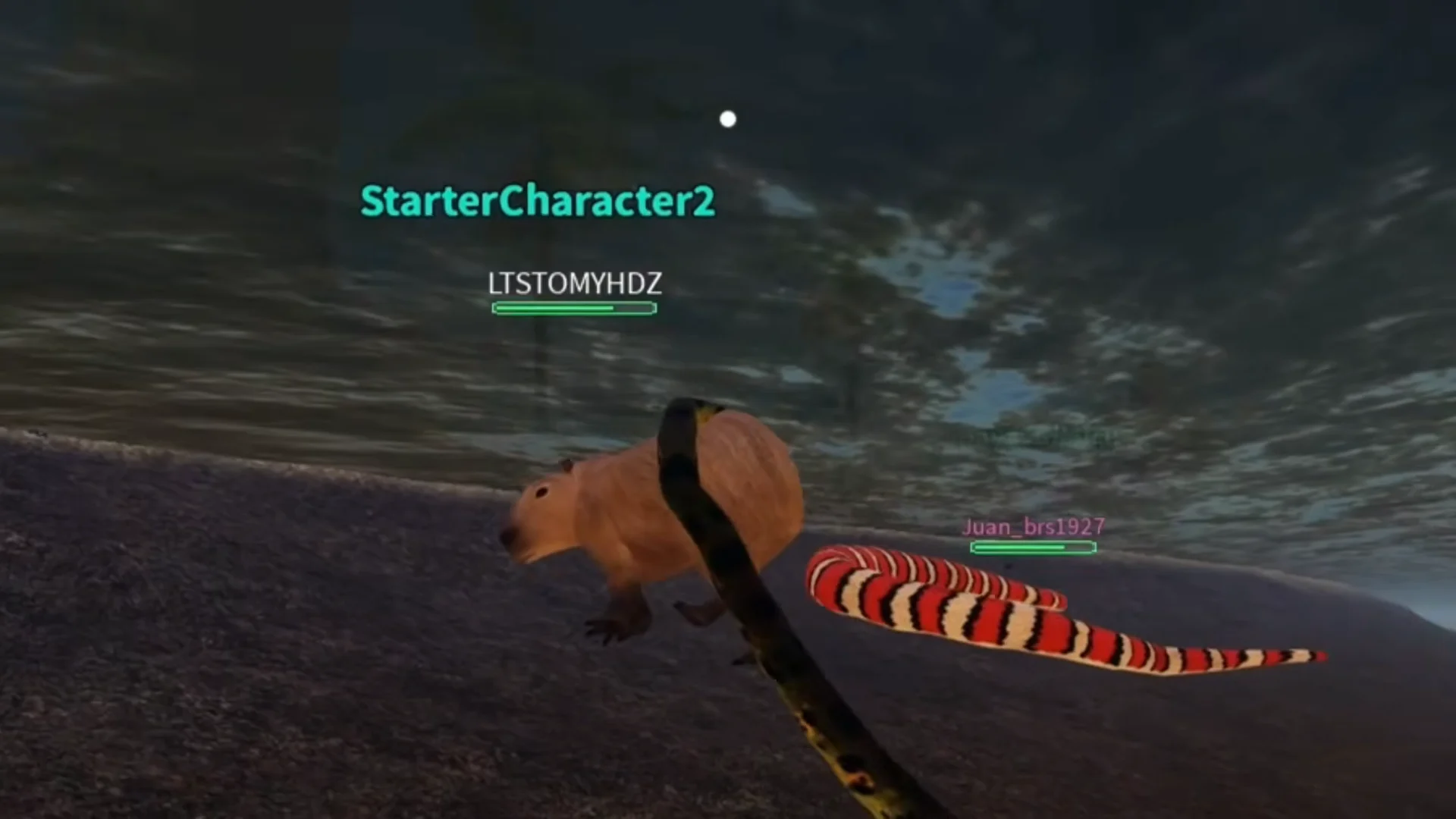 Hunting Capybaras