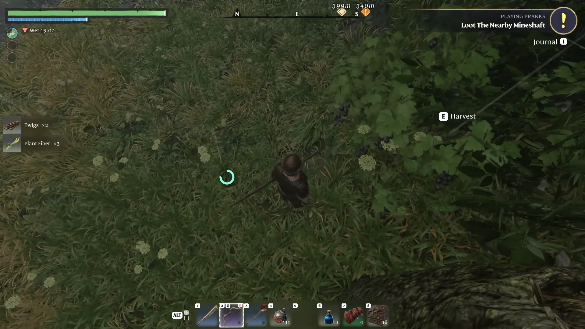 Harvesting a plant