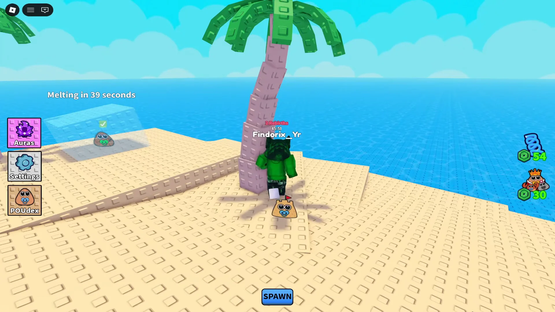 Sand Castle Baby Pou