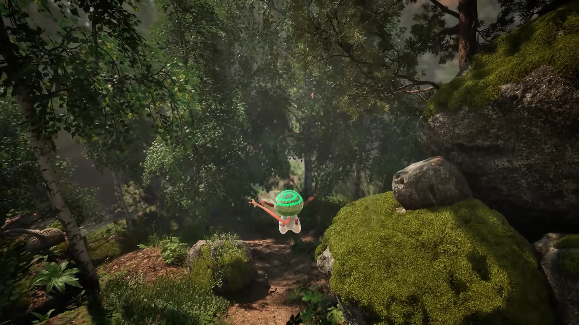 Gliding into the Forest