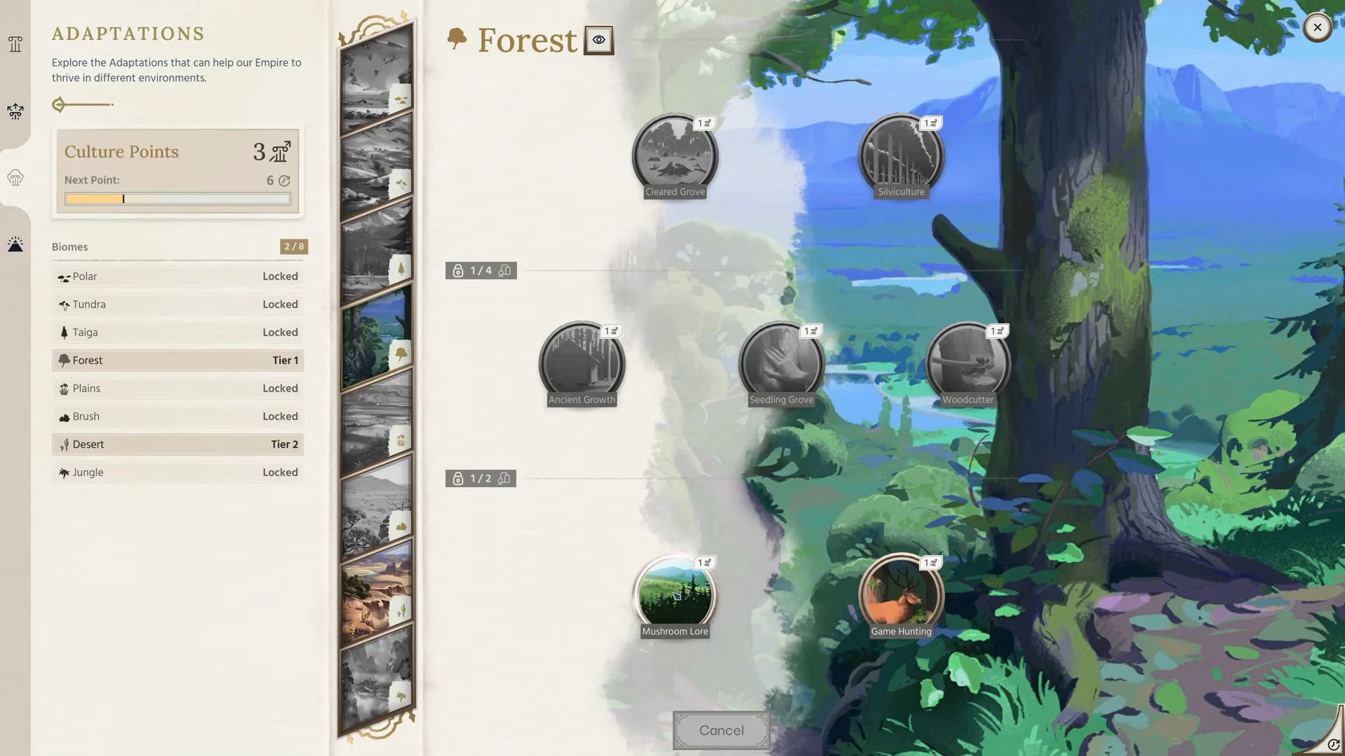 Forest Biome City & Forest Adaptations