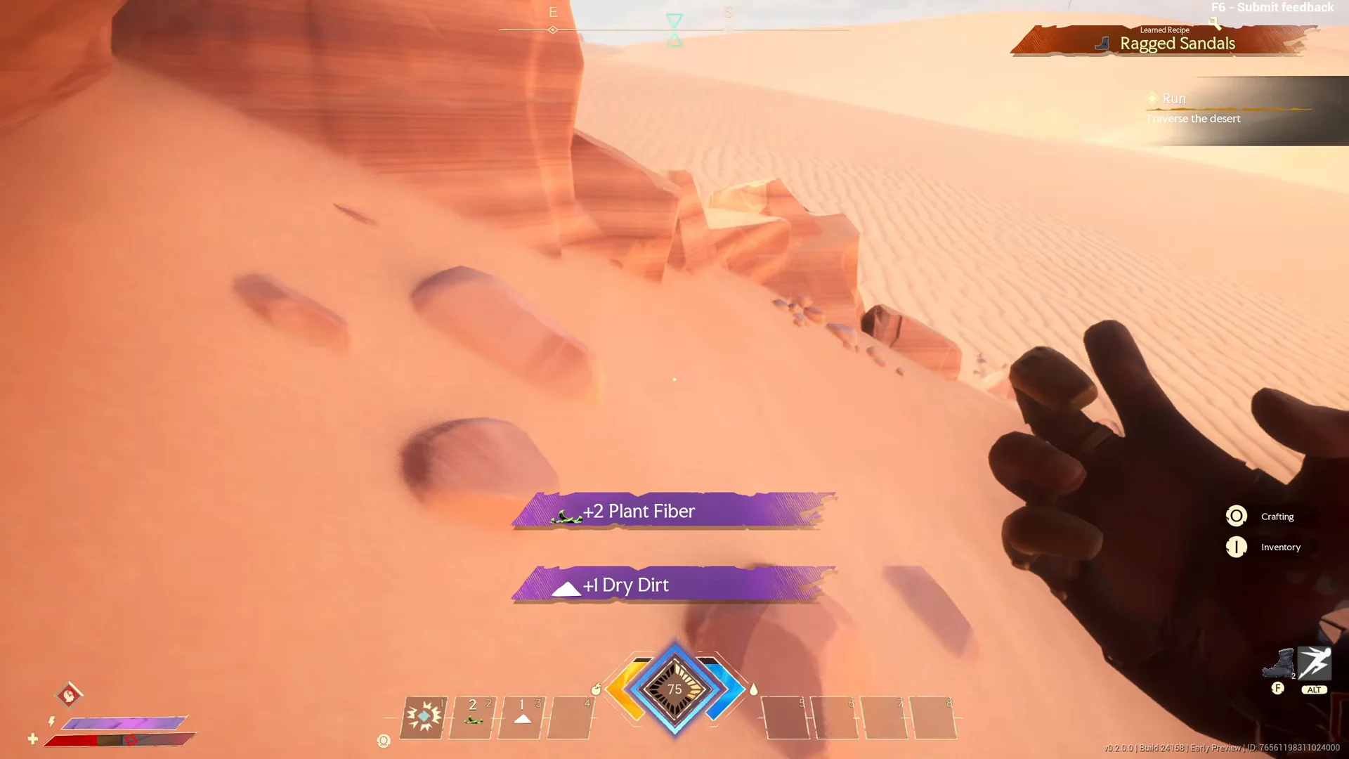 Gathering Desert Flora