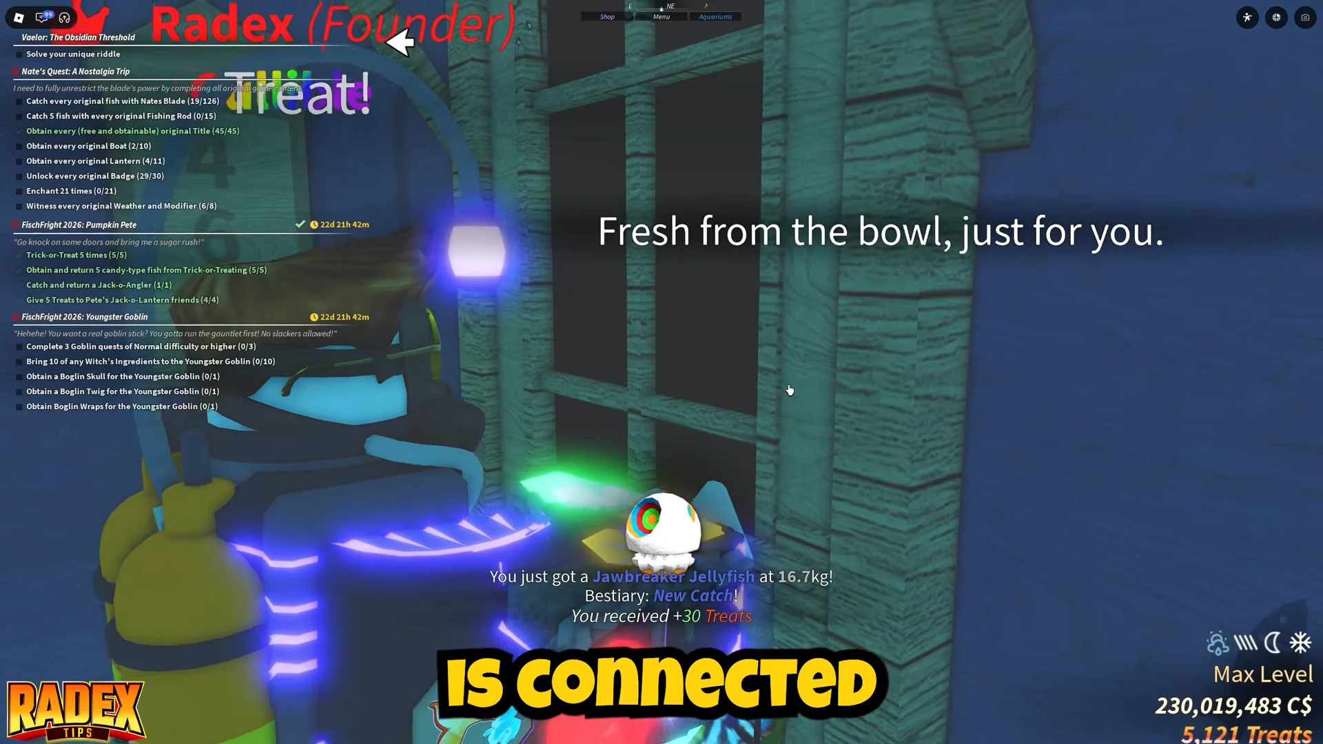 Collect Candy Type Fish