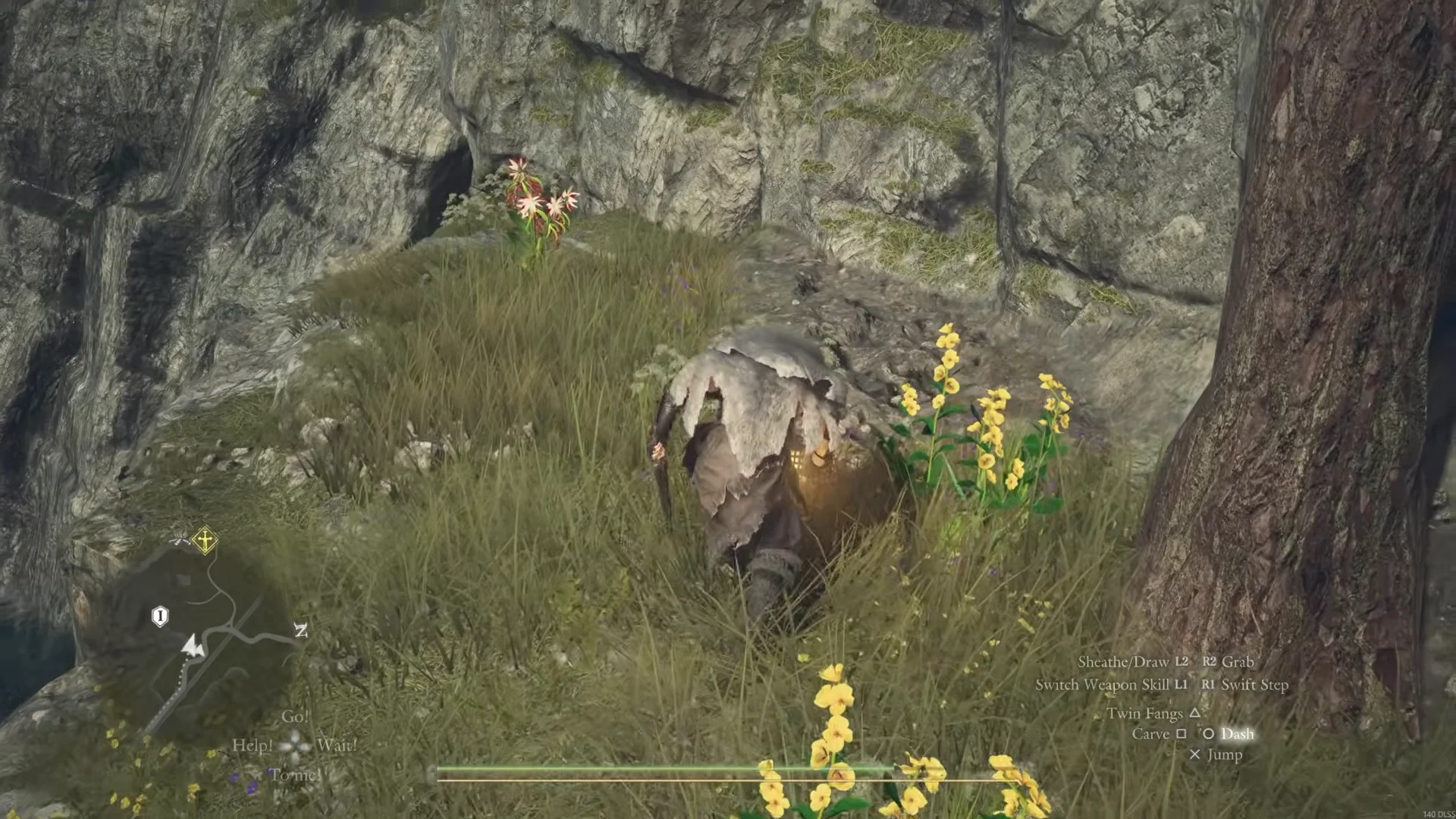 Noonbloom on the cliff ledge