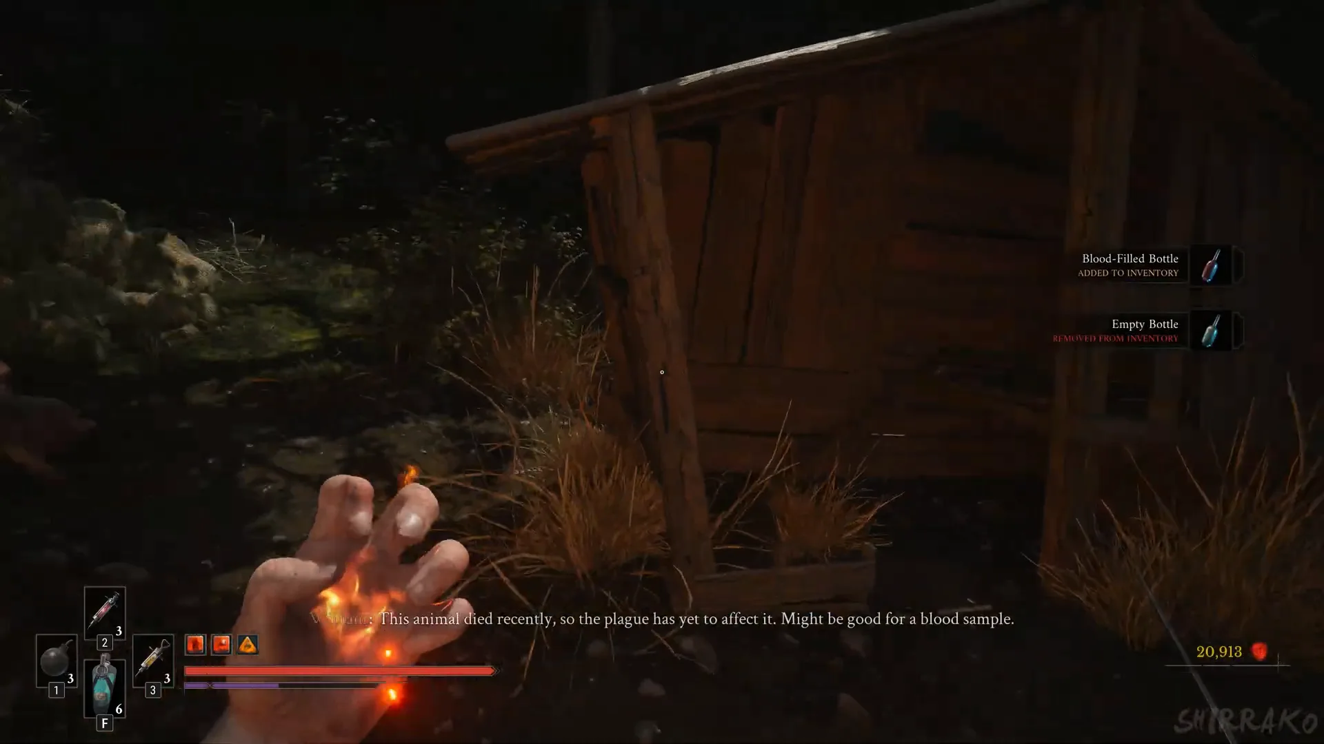 Blood-Filled Bottle from the pig