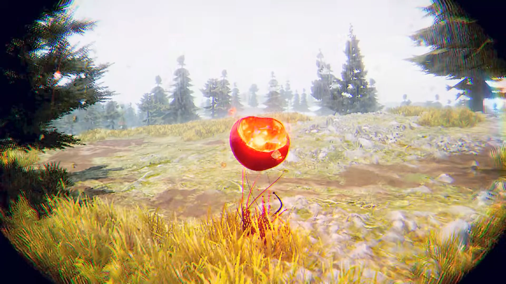 Anomaly Sample Harvesting