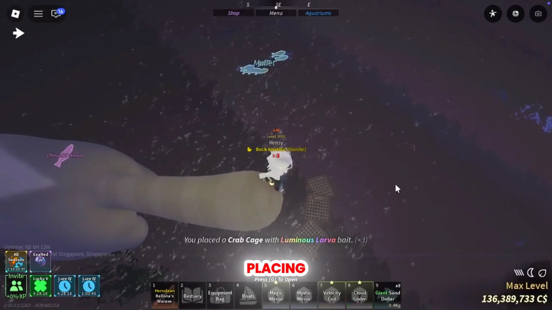 Multi-cage placement strategy