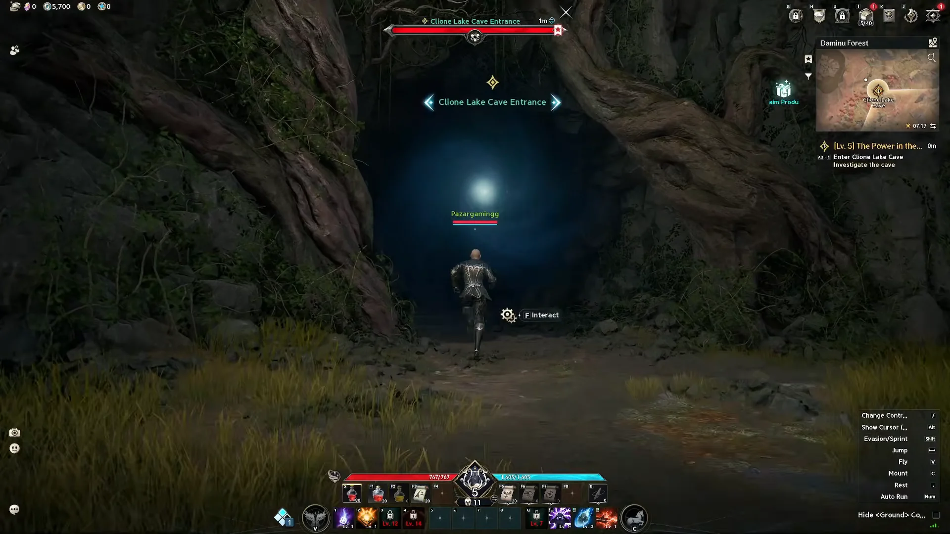 Cave Entrance