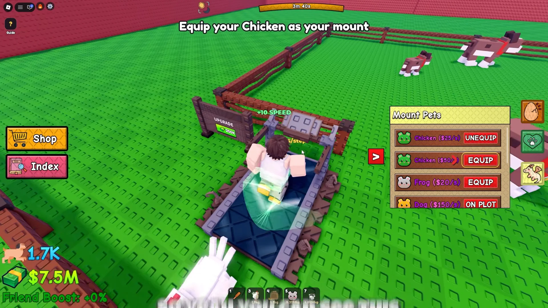 Mounting Pets & Treadmill Mechanic