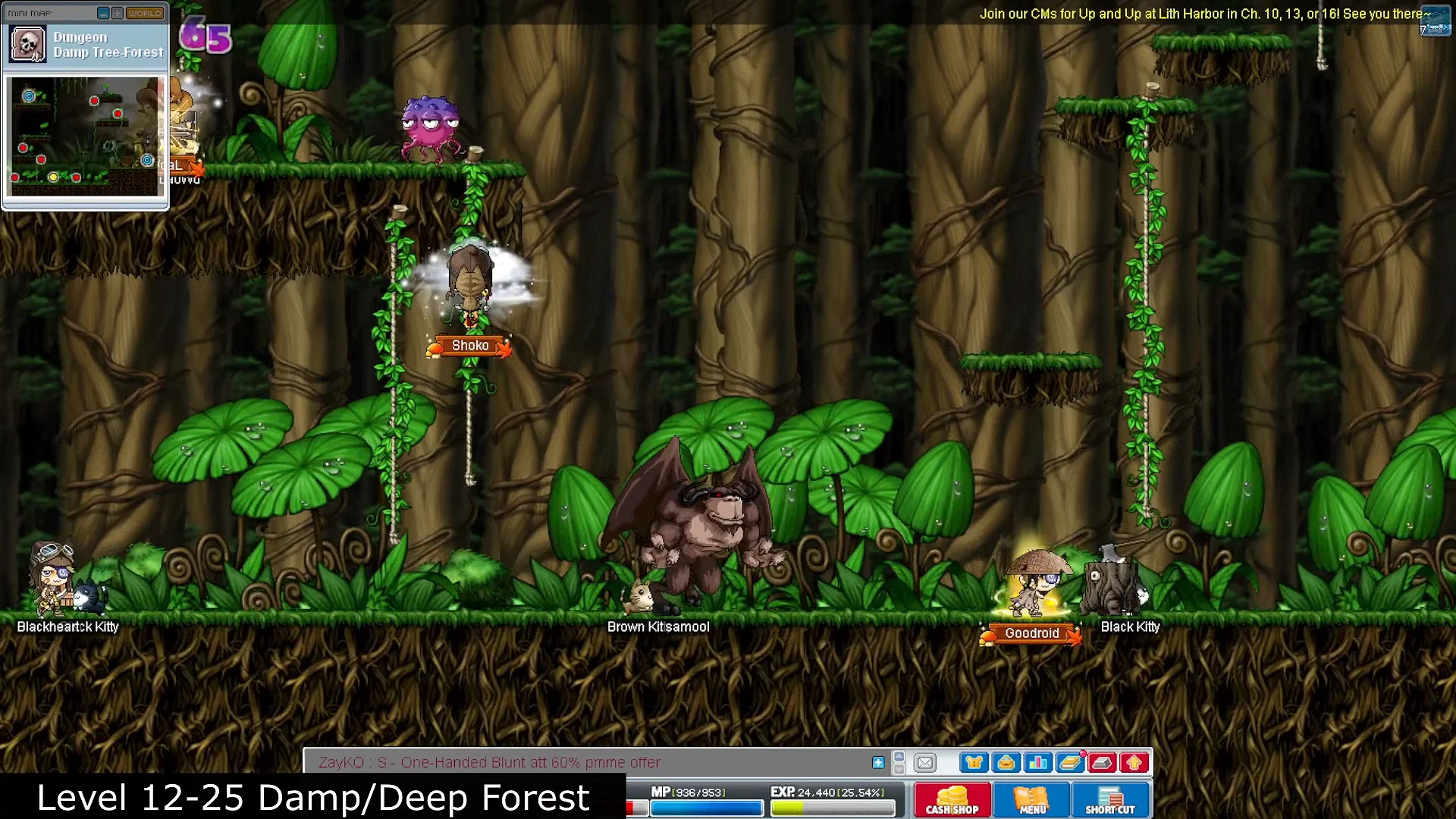 Level 12-25: Damp / Deep Forest