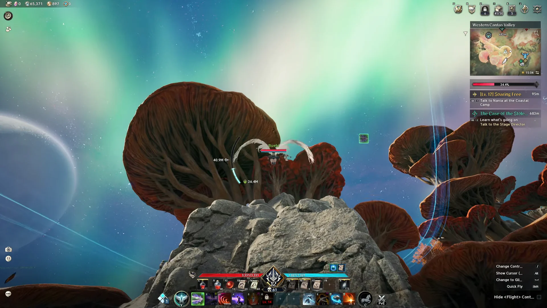 Flight Ascent
