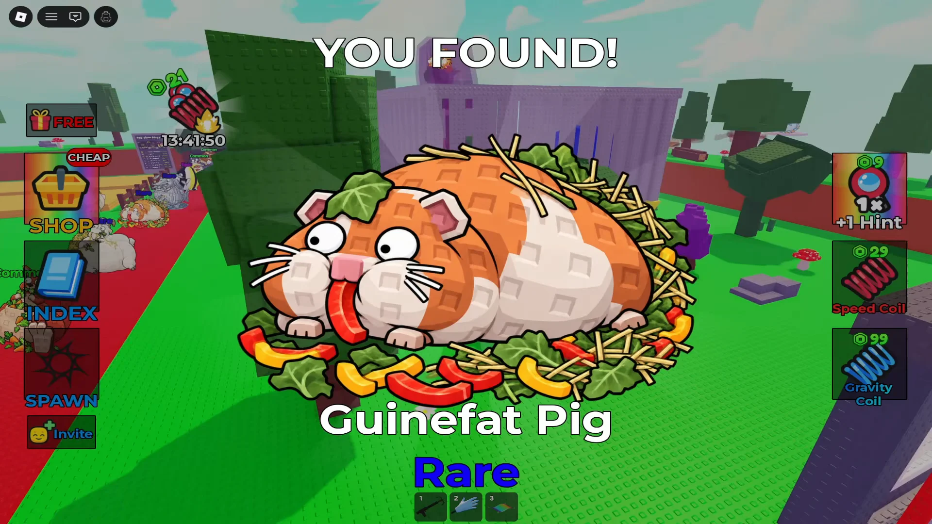 Finding Guinefat Pig