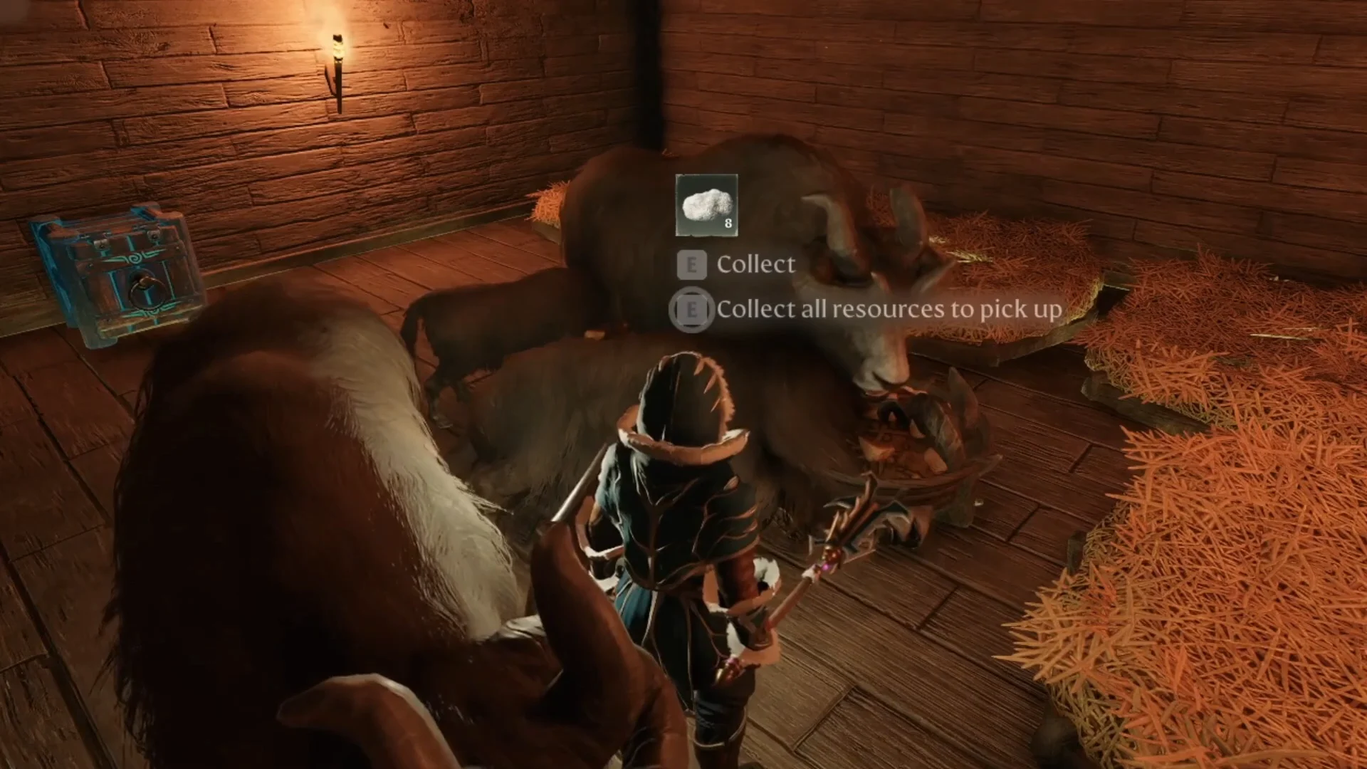 Collecting wool from tamed Yaks