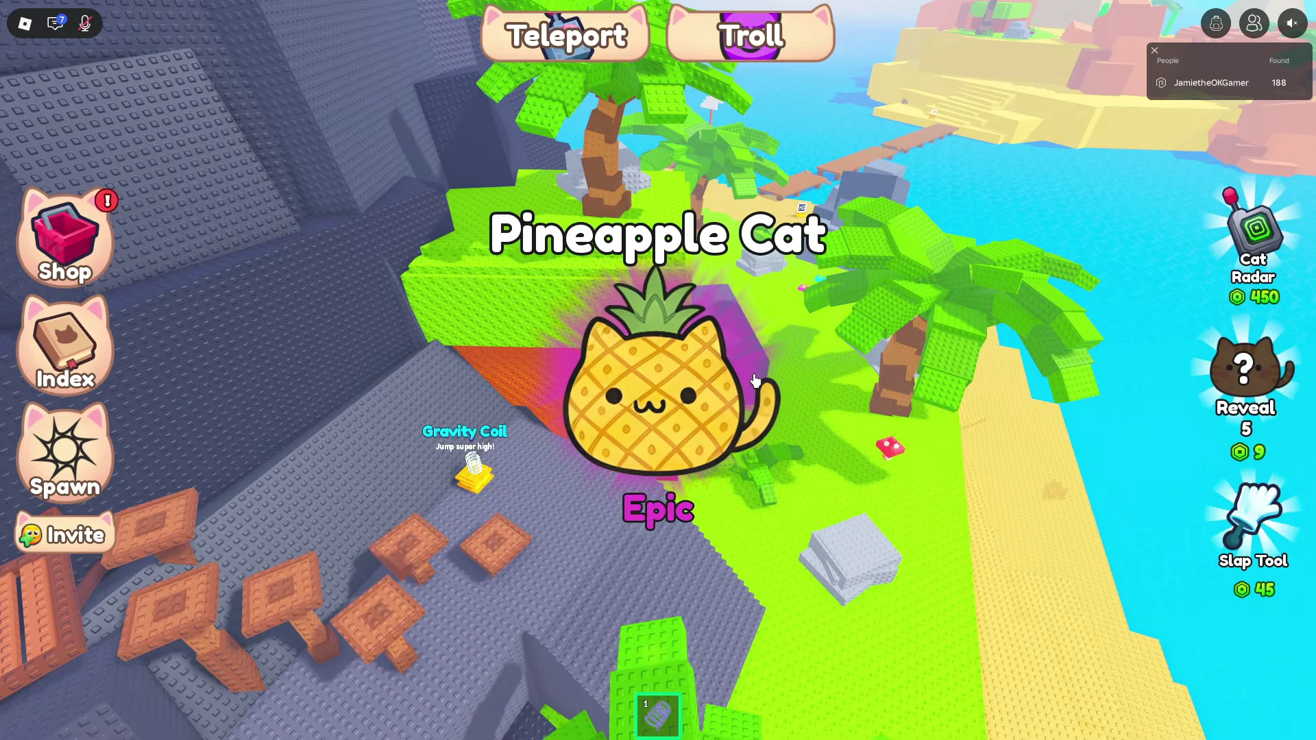 Pineapple Cat