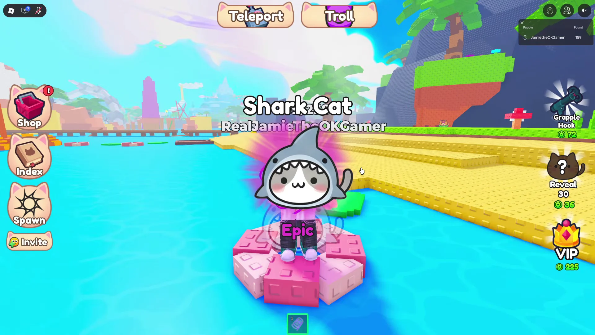 Shark Cat