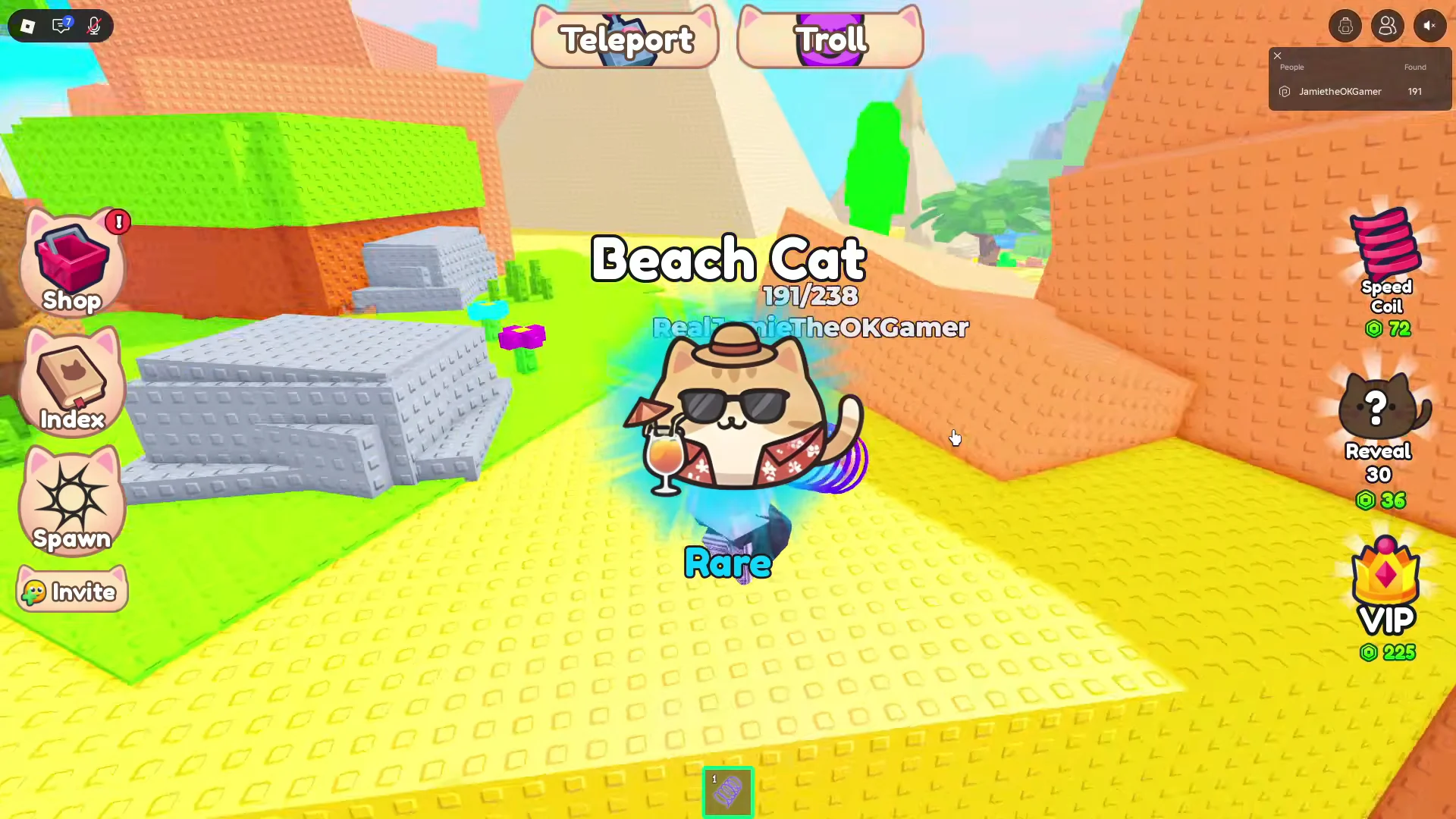 Beach Cat