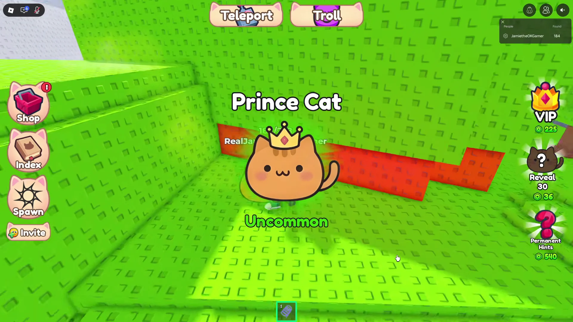 Prince Cat