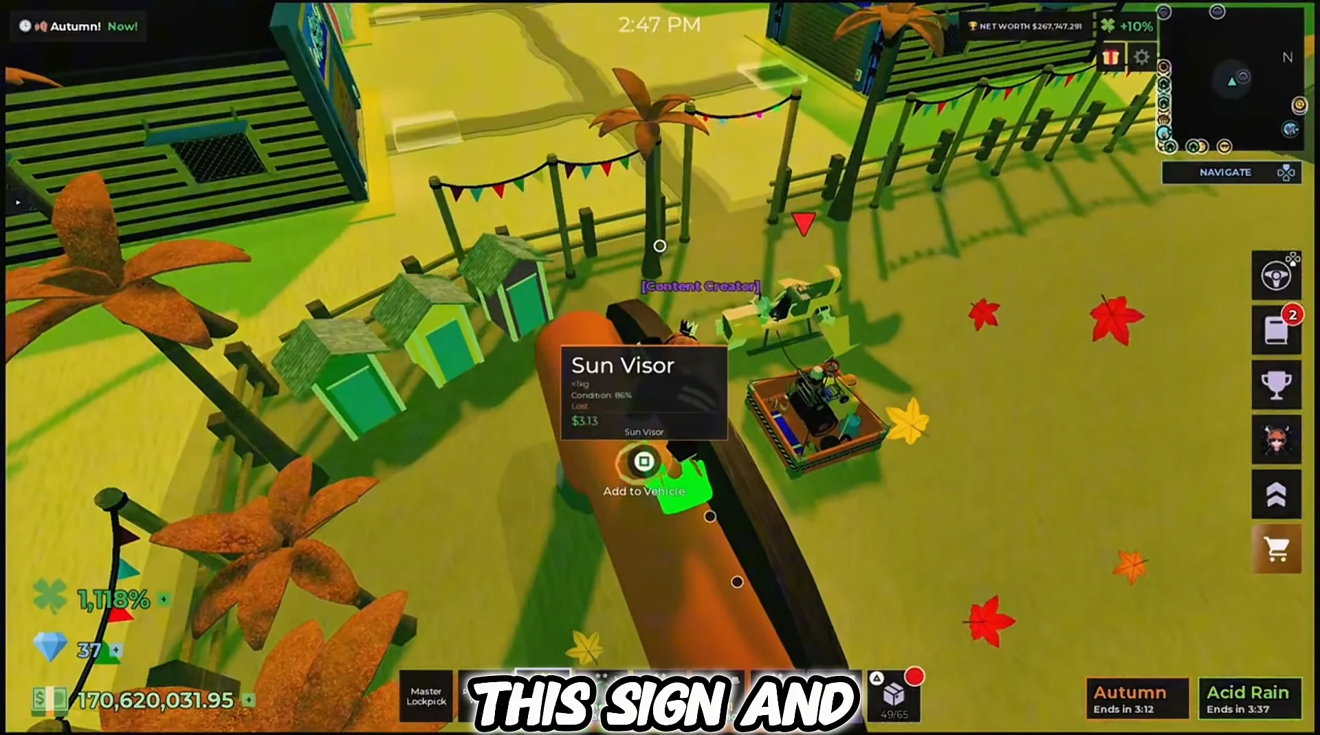 Sun Visor Location