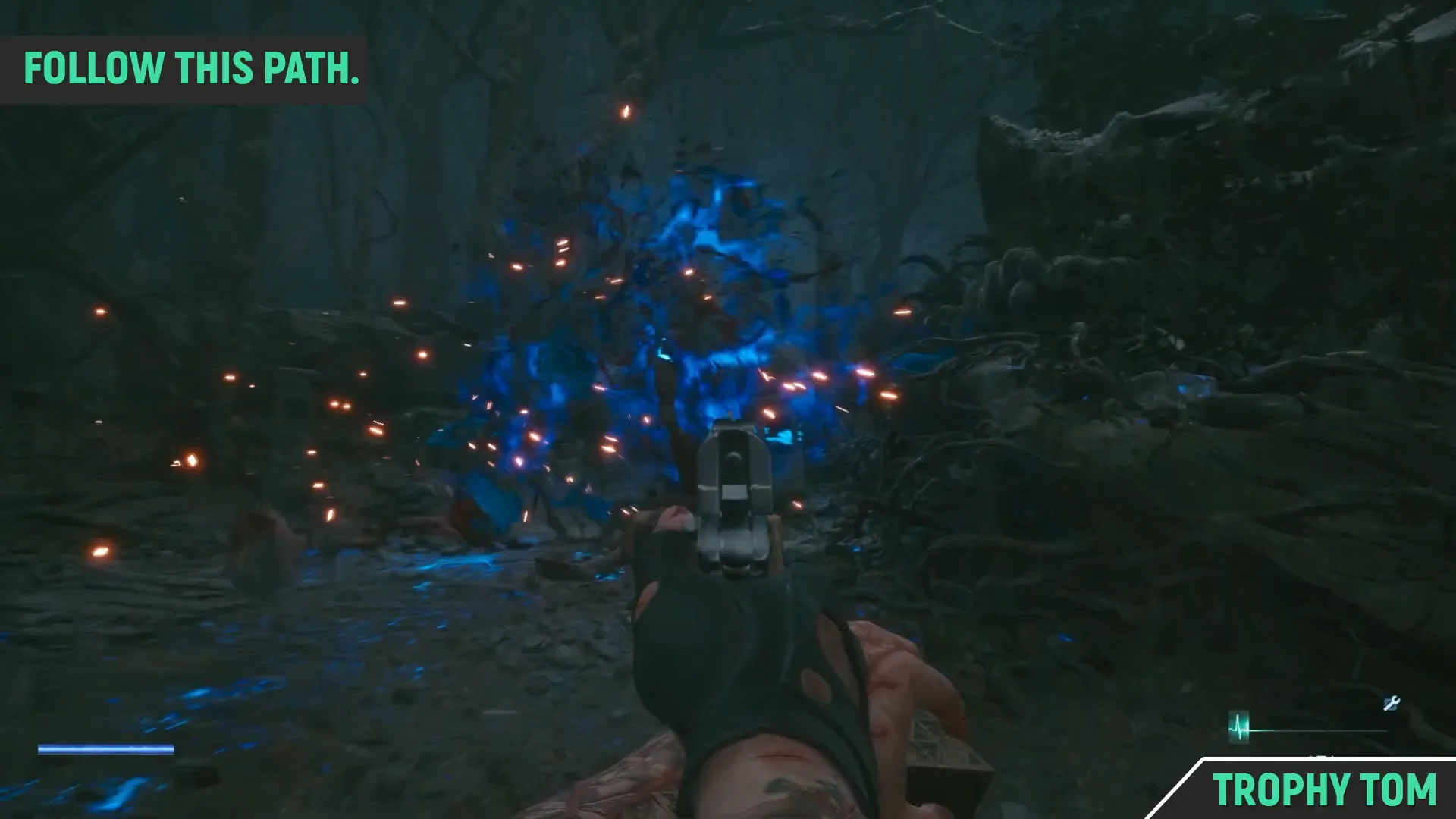 Glowing blue swamp path