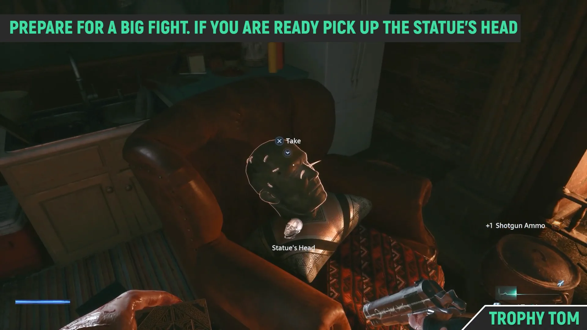 Collecting Statue's Head