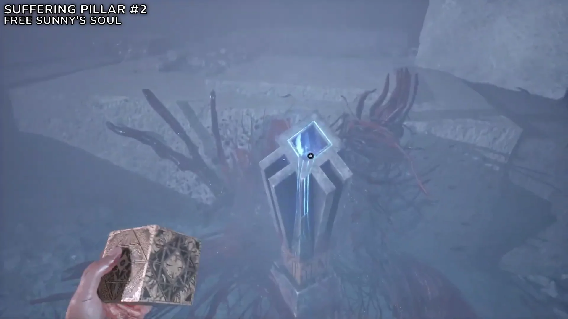 Suffering Pillar #2