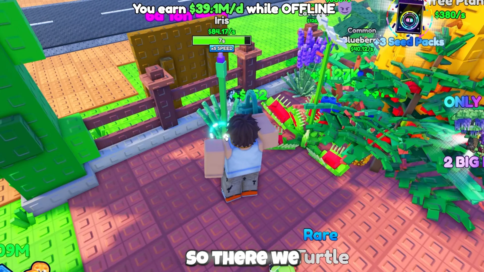 Watering Plants