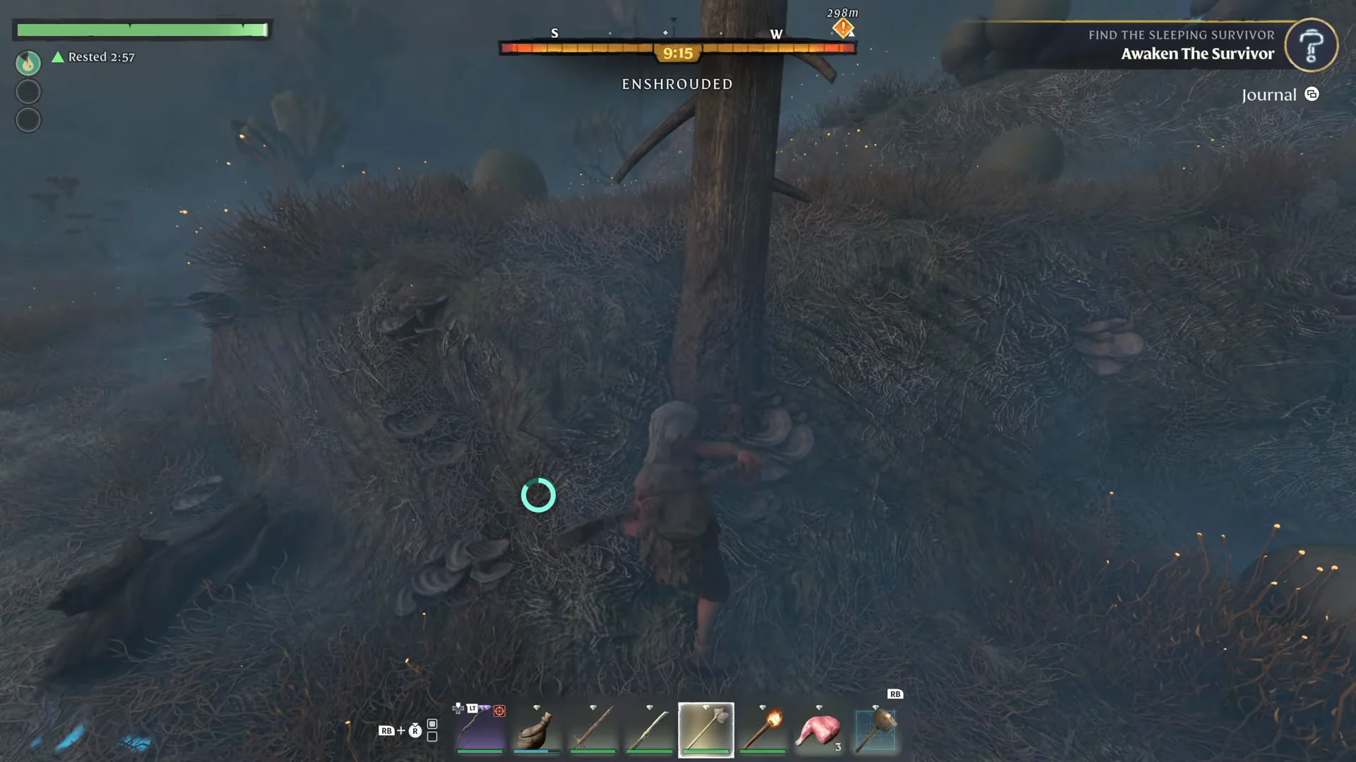 Chopping Shroud Wood