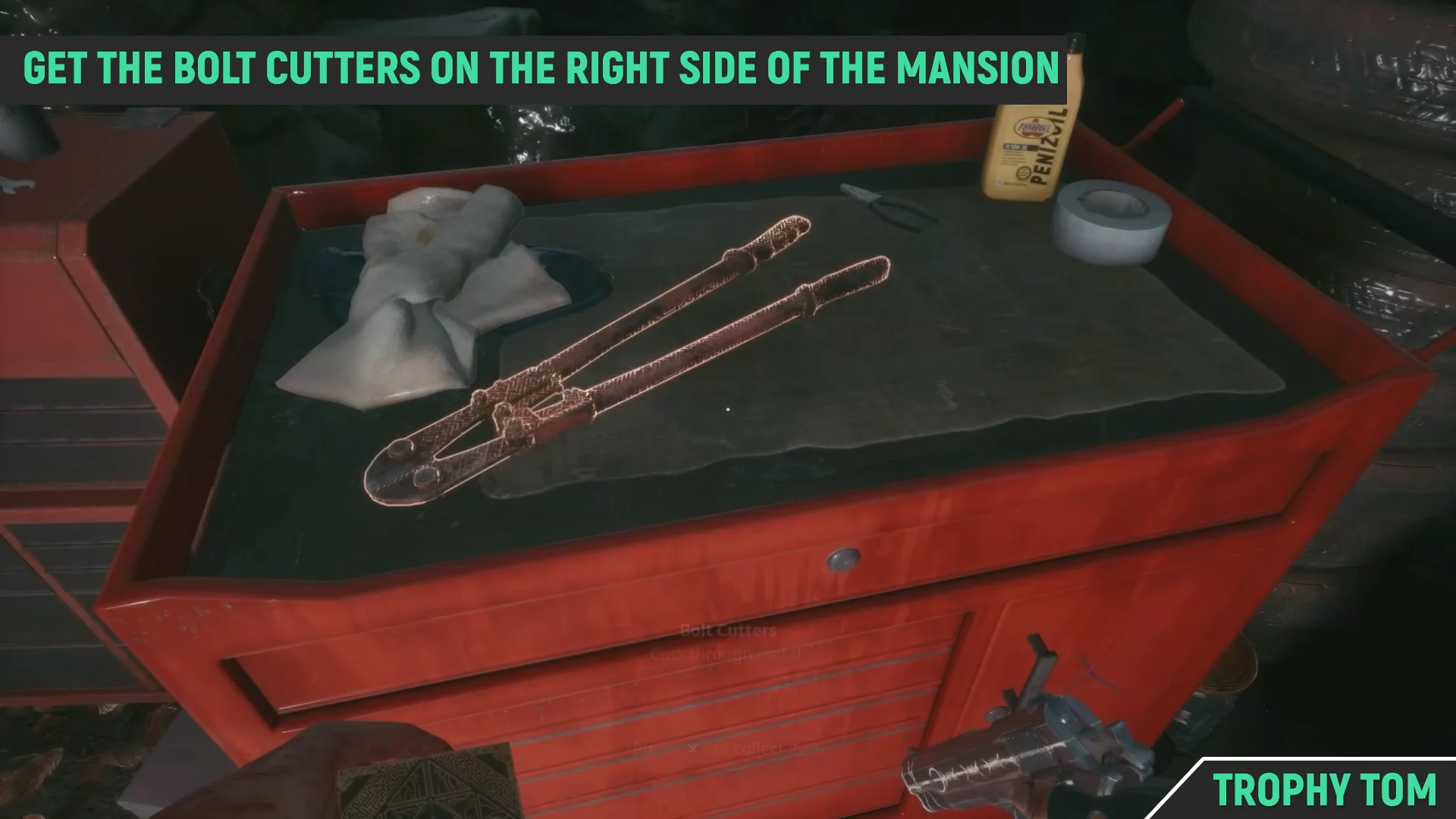 Locating Bolt Cutters
